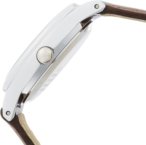 Totoro Alba Seiko watch