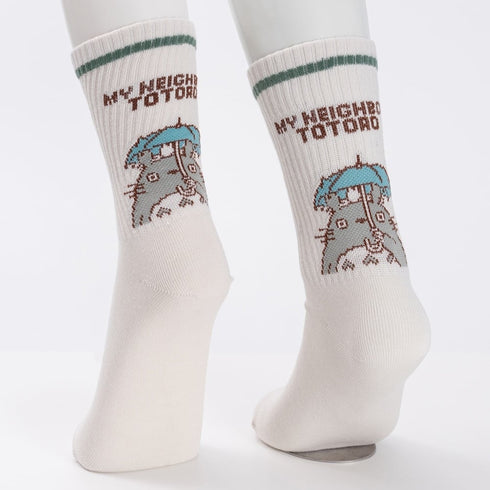 Totoro socks Kassa